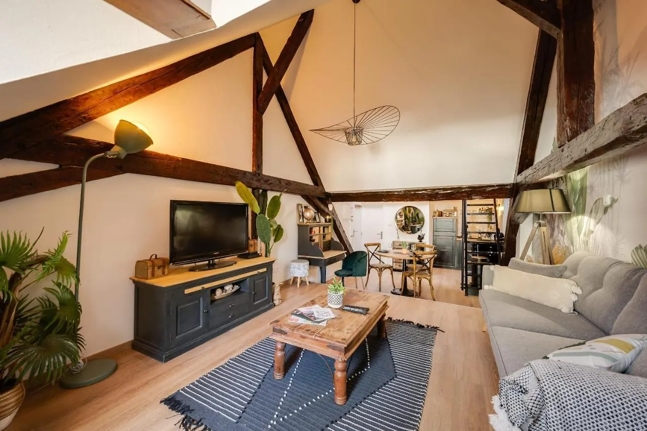 Appartement Le Double G- T2 Avec Mezzanine Idealement Place à Annecy France