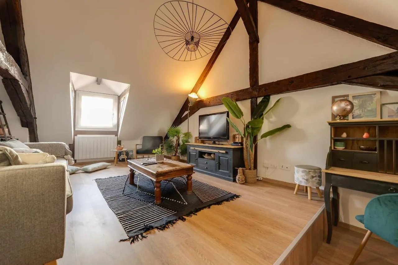 Appartement Le Double G- T2 Avec Mezzanine Idealement Place à Annecy
