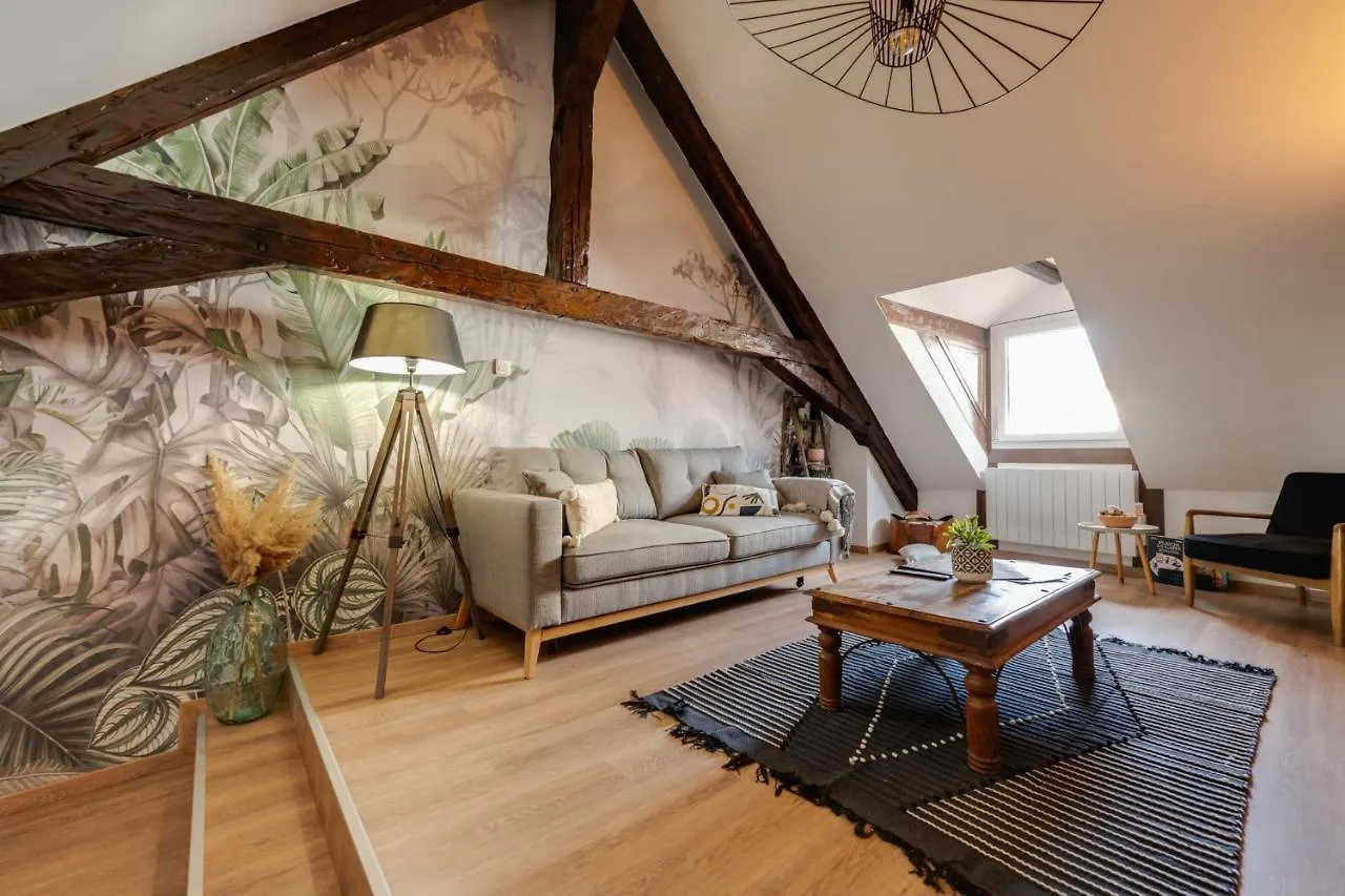 Appartement Le Double G- T2 Avec Mezzanine Idealement Place à Annecy France